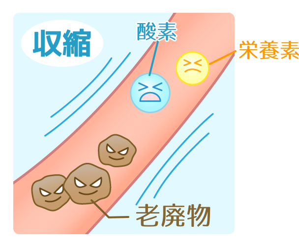 ニコチンによる血管収縮