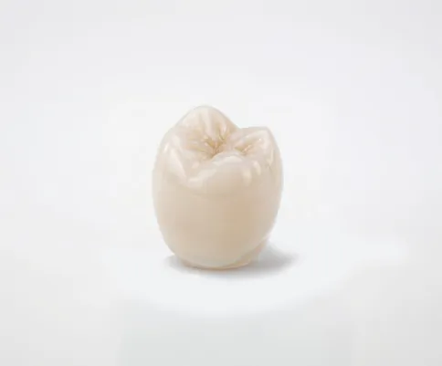 上部構造（人工歯）となる被せ物の商品写真